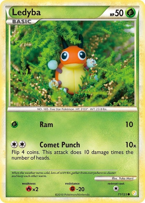 71-ledyba