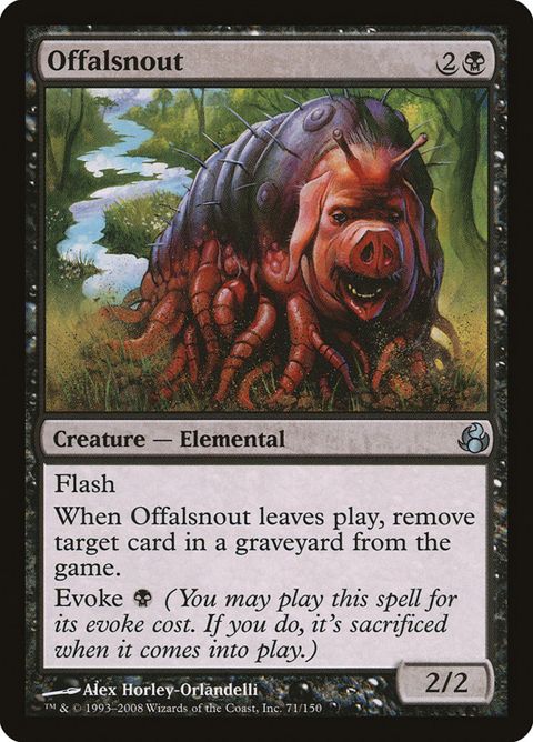 71-offalsnout