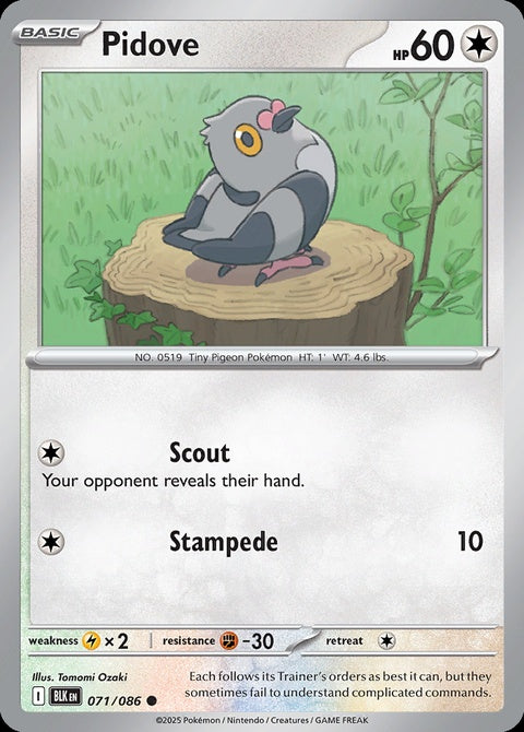 71-pidove