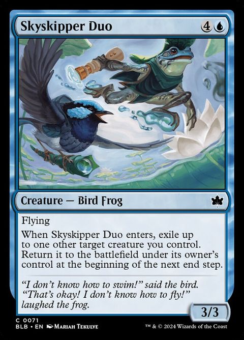 71-skyskipperduo