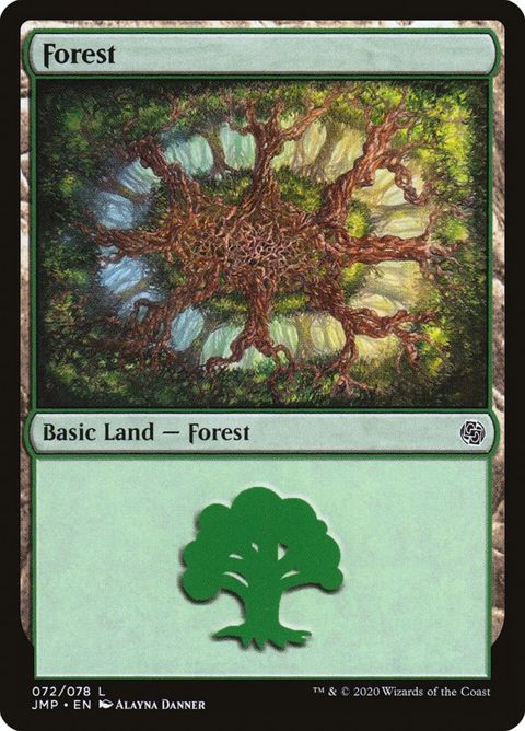 72-forest