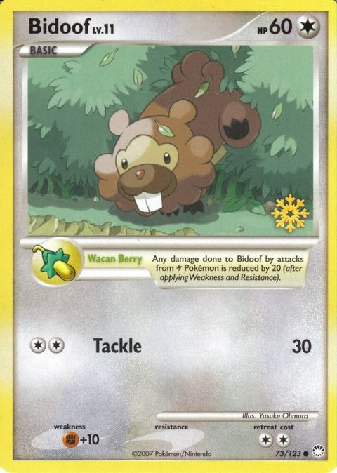 73-bidoof