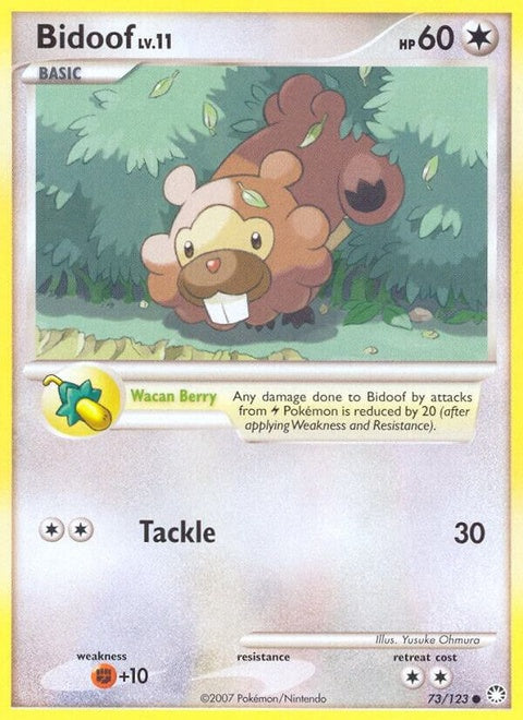 73-bidoof