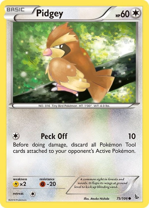 75-pidgey