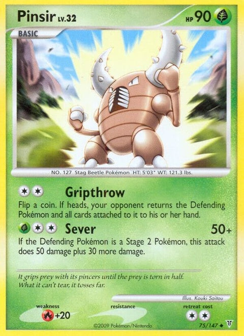 75-pinsir