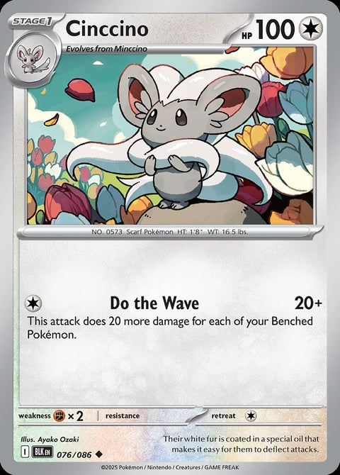 76-cinccino