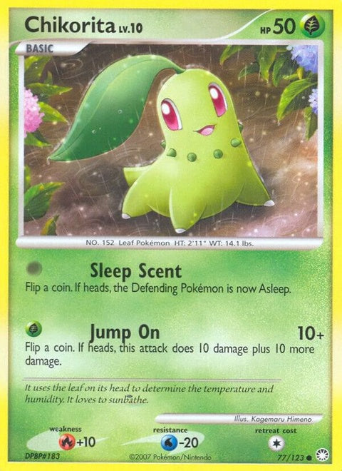 77-chikorita