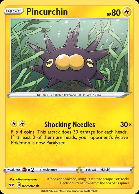 77-pincurchin