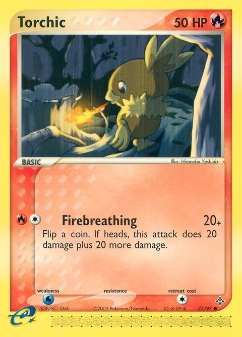 77-torchic