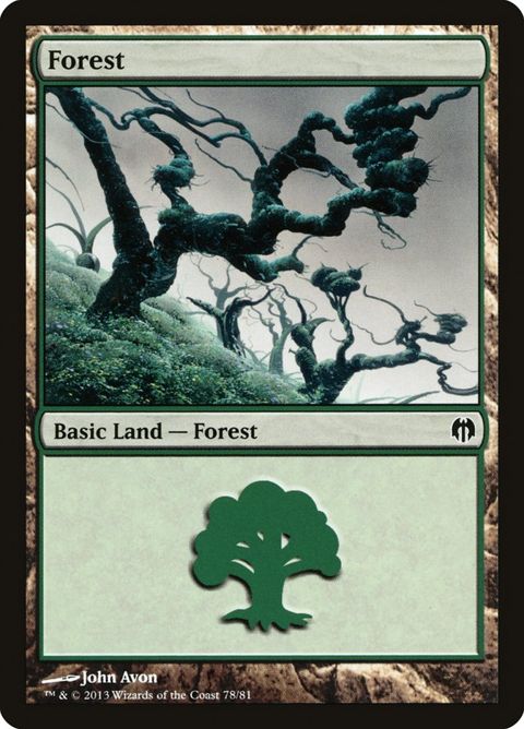 78-forest