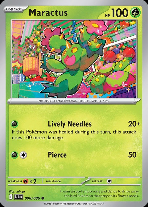 8-maractus