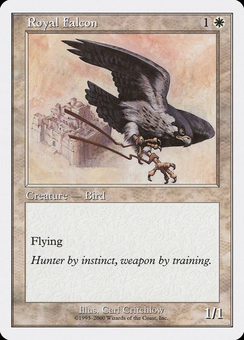 8-royalfalcon