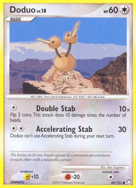 80-doduo
