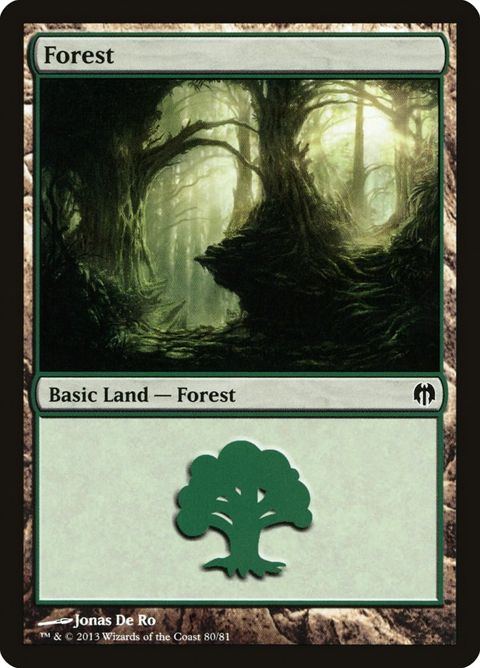 80-forest