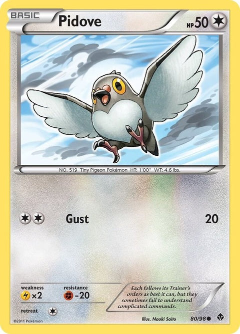 80-pidove