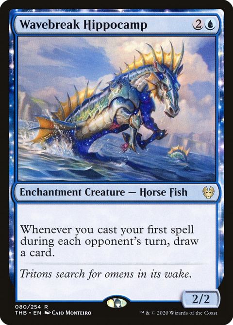 80-wavebreakhippocamp