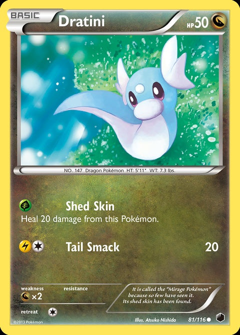 81-dratini