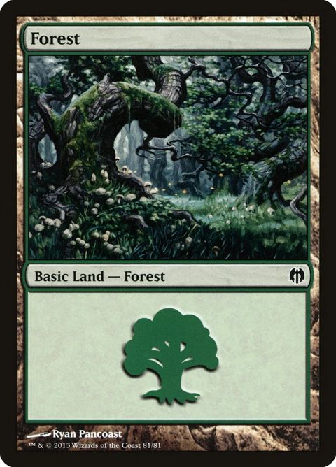 81-forest