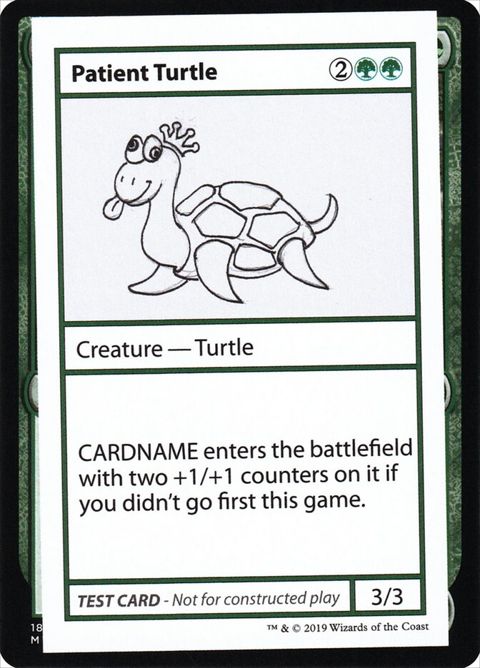 82-patientturtle