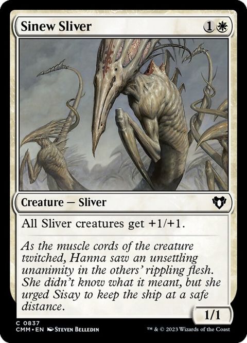 837-sinewsliver