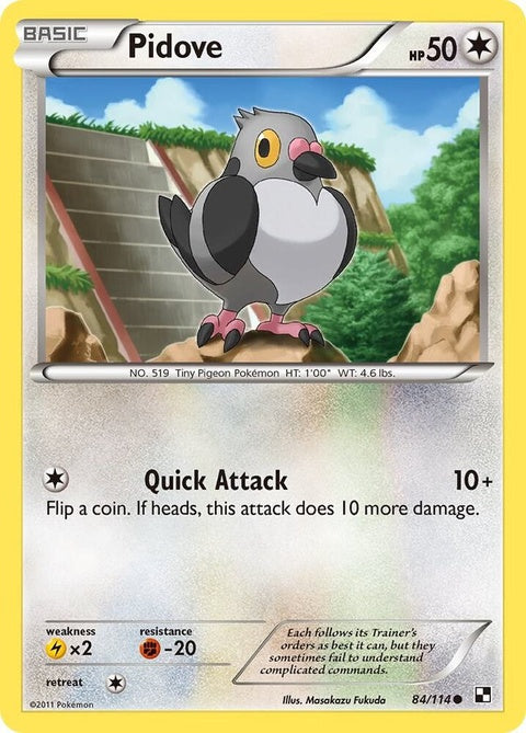 84-pidove