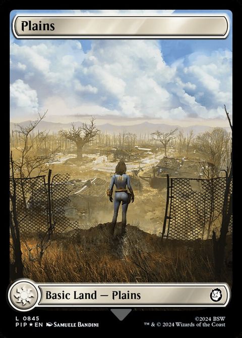 845-plains