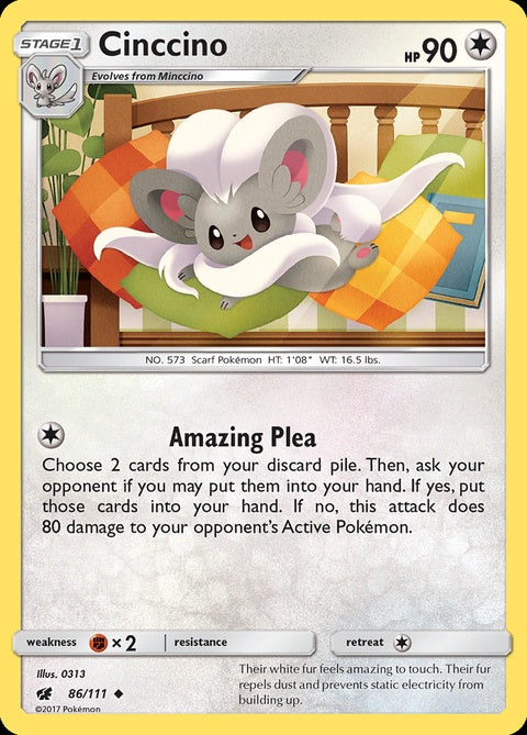 86-cinccino