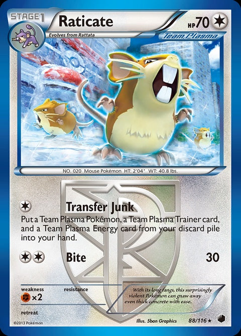 88-raticate