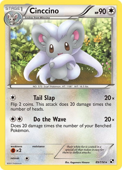 89-cinccino