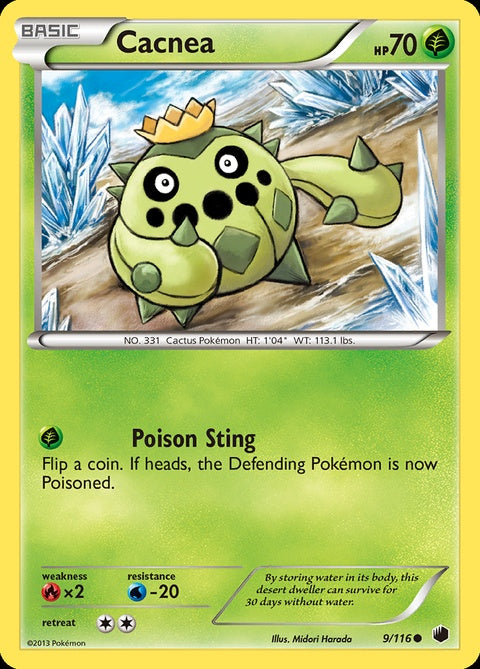 9-cacnea