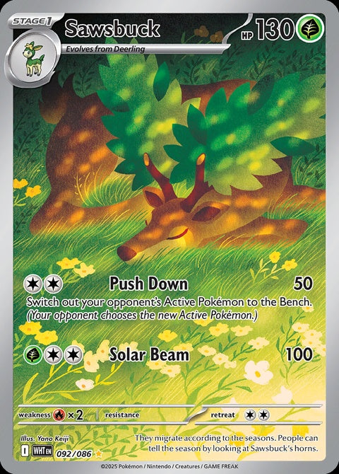92-sawsbuck