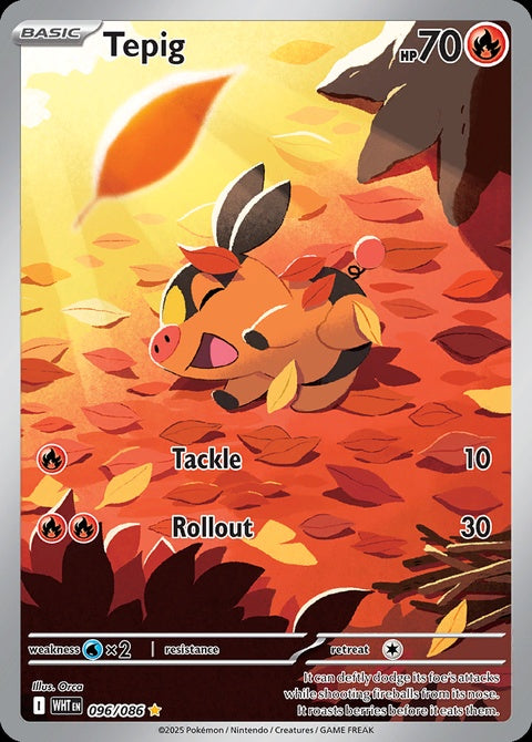 96-tepig