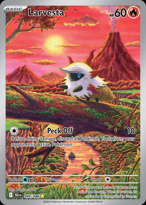 99-larvesta