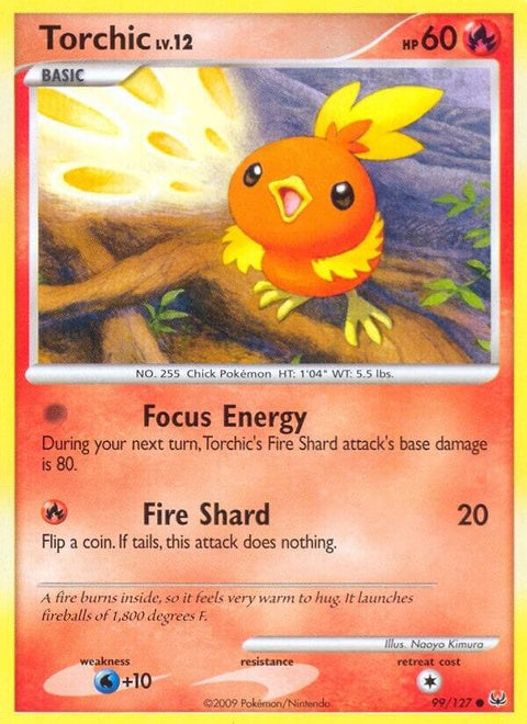 99-torchic