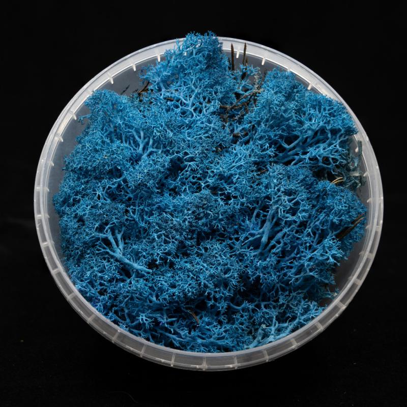 Coral Blue Hedge Basing Material