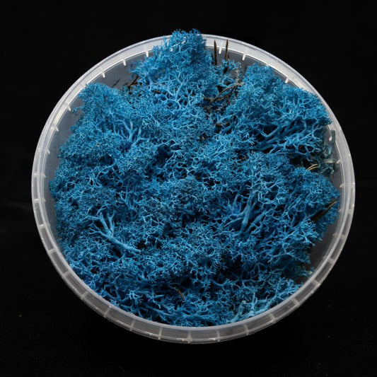 Coral Blue Hedge Basing Material