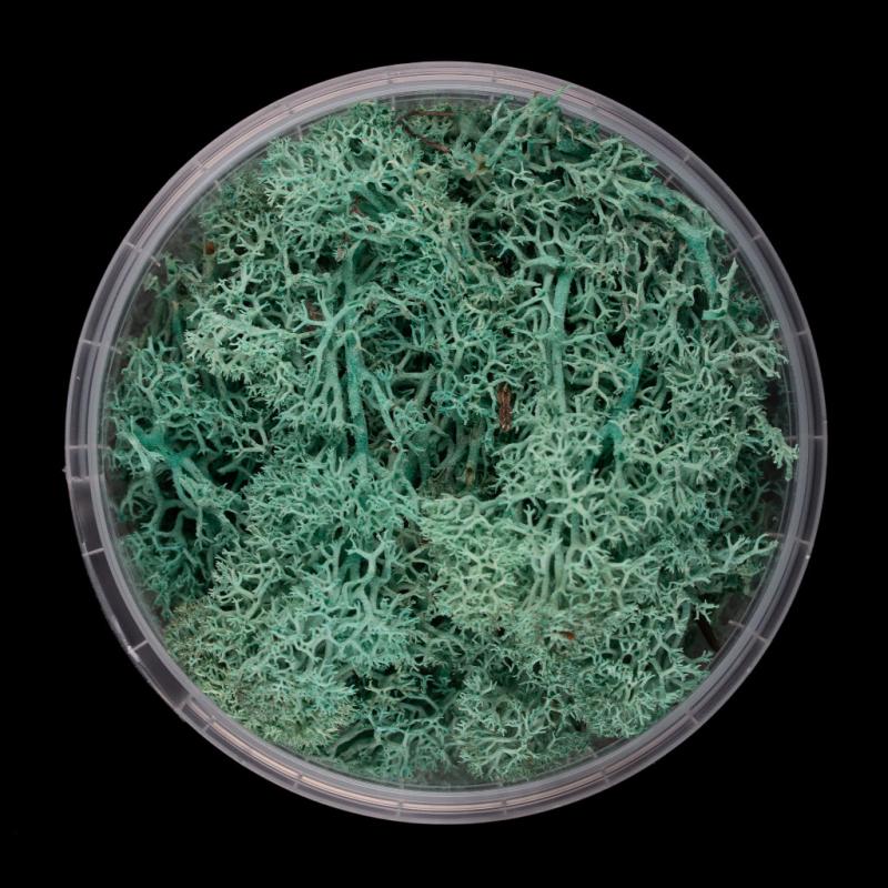Alien Hedge Basing Material