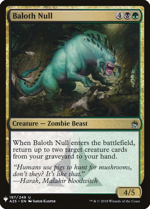 A25-197-balothnull