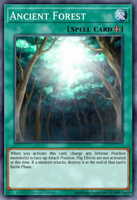 anpr-en048-ancientforest