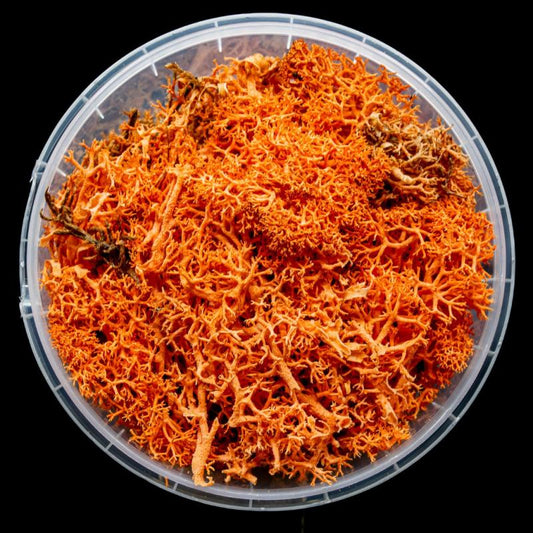 Blazing Hedge Basing Material
