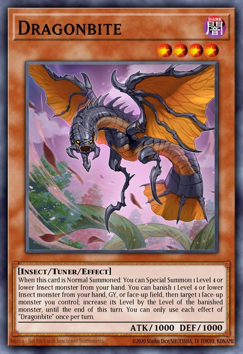 bach-en081-dragonbite