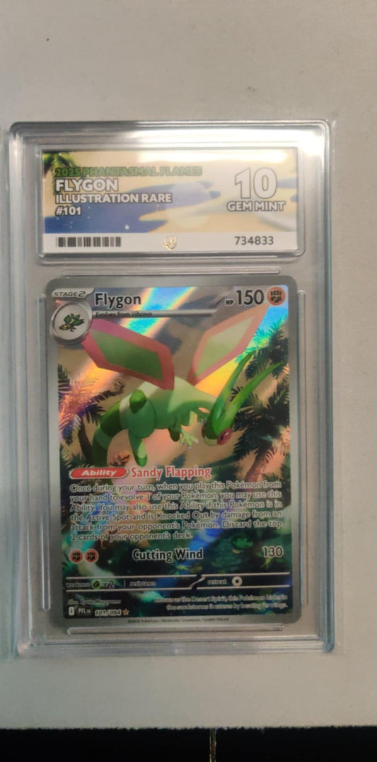 Flygon 101 MEPF English ACE-10