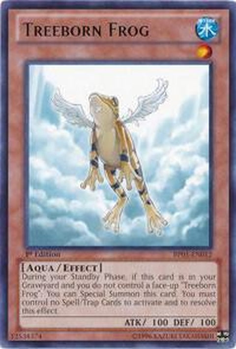 bp01-en012-treebornfrog
