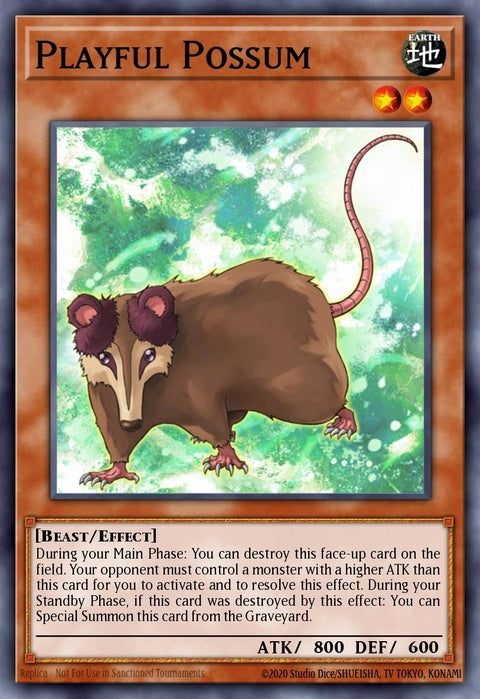 bpw2-en033-playfulpossum