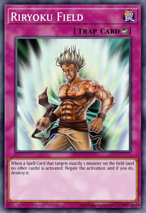 bpw2-en080-riryokufield