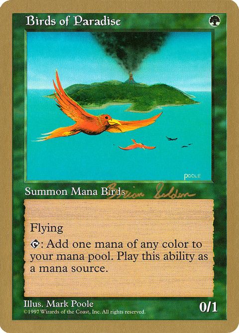 bs280-birdsofparadise
