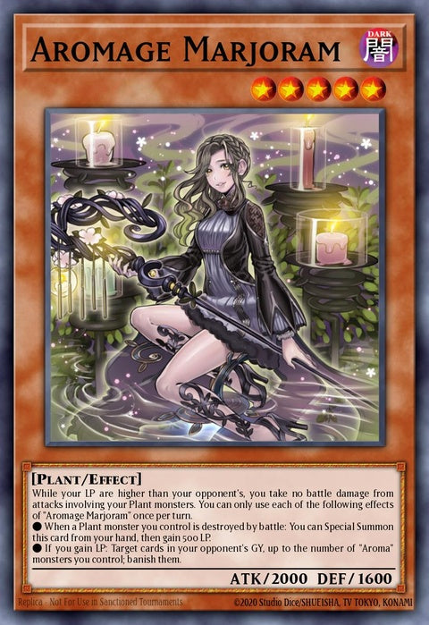 chim-en018-aromagemarjoram