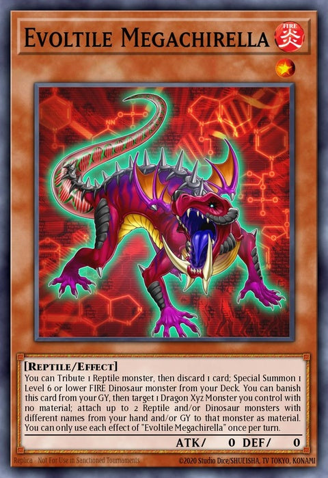 chim-en020-evoltilemegachirella