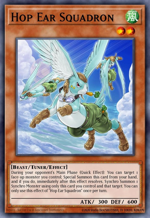 chim-en029-hopearsquadron