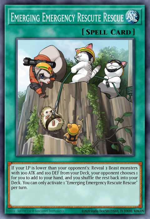 cotd-en061-emergingemergencyrescuterescue